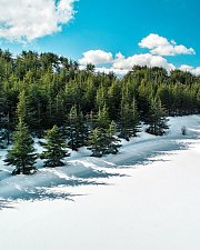 Shouf Cedars Snowshoeing | HighKings Shouf Cedars Snowshoeing | HighKings