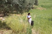 Discover Lebanon with Your Pet with TourLeb Discover Lebanon with Your Pet with TourLeb