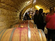 Wine Tour in Keserwen with Dale Corazon Wine Tour in Keserwen with Dale Corazon