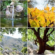 Darb Hajal-Mresti Forest Hike with Wild Adventures Darb Hajal-Mresti Forest Hike with Wild Adventures