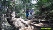 Ehden Snowshoeing with Vamos Todos Ehden Snowshoeing with Vamos Todos