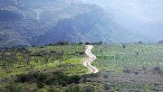 Mazraat El Chouf Hike with Vamos Todos Mazraat El Chouf Hike with Vamos Todos