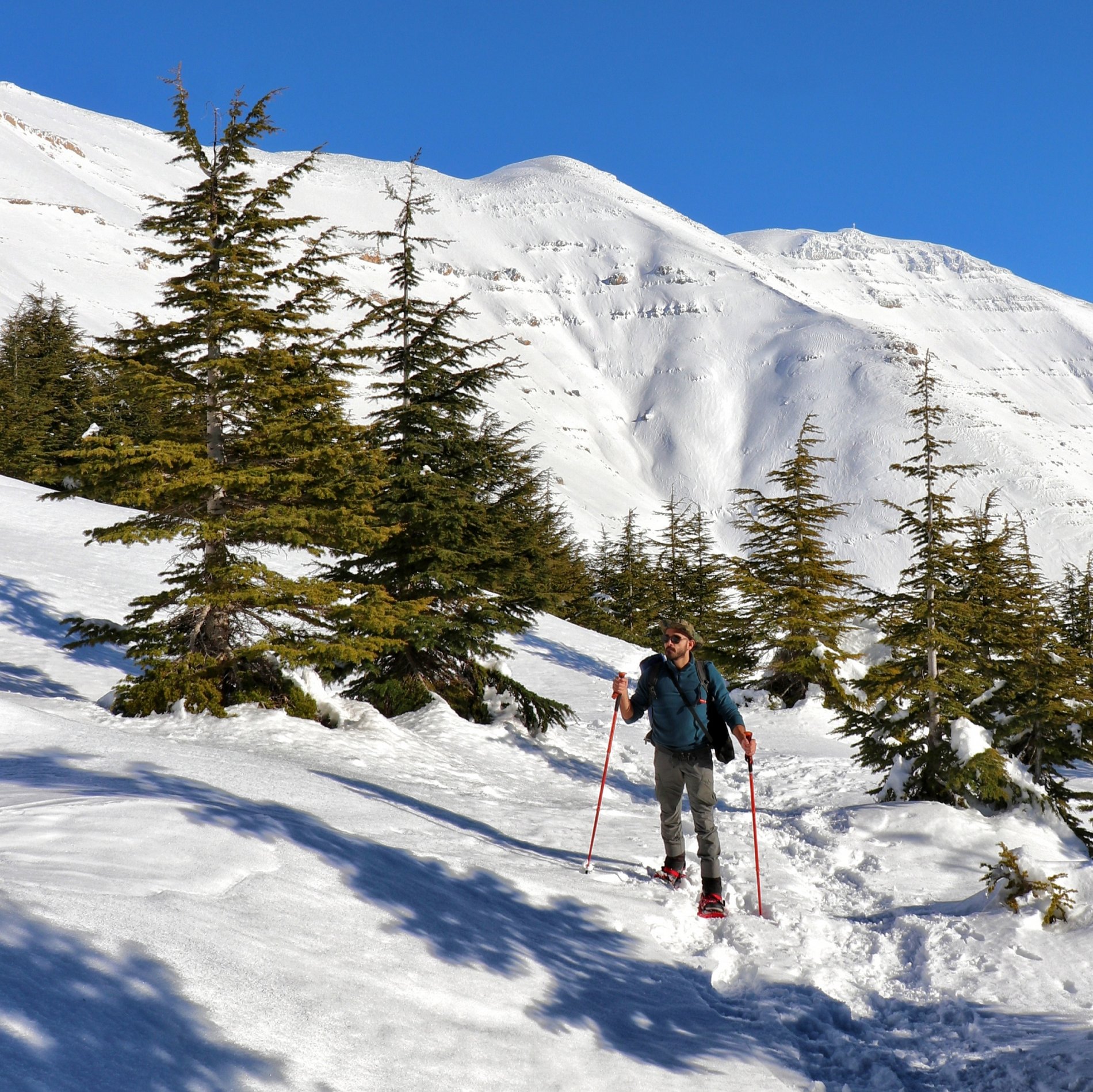 Snowshoeing to Qanat Bakish Cedar Forest with Lebanon by Nature « Lebtivity