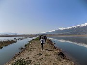 AMMIQ Wetland Hiking with DALE CORAZON - LEBANON EXPLORERS AMMIQ Wetland Hiking with DALE CORAZON - LEBANON EXPLORERS