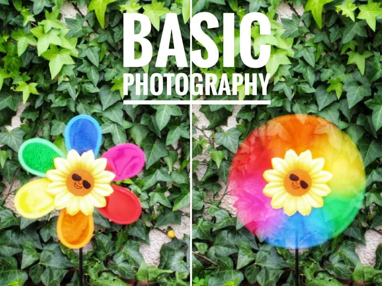 Basic Photography for Teenagers at Fapa Fine Art Academy « Lebtivity