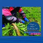 Sliqa (wild herbs picking) Trip at Kobayat Sliqa (wild herbs picking) Trip at Kobayat
