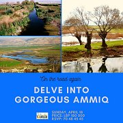 On the Road Again - West Bekaa On the Road Again - West Bekaa