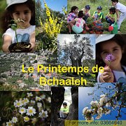 Le printemps de Bchaaleh, Gardening Workshop With Bchaaleh Trails Le printemps de Bchaaleh, Gardening Workshop With Bchaaleh Trails
