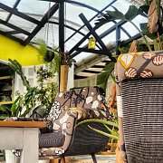 GreenHouse In Batroun - Opening weeks GreenHouse In Batroun - Opening weeks