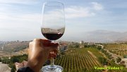 Wine Tour Bekaa with Vamos Todos Wine Tour Bekaa with Vamos Todos