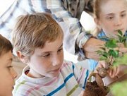 Plantation Experience for Kids Plantation Experience for Kids