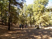The Golden Forest Hike with Dale Corazon - Lebanese Explorers The Golden Forest Hike with Dale Corazon - Lebanese Explorers