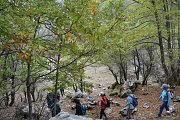 Al Ozor - The Golden Forest 'Laqlouq-Ehmej' with Dale Corazon- Lebanon Explorers Al Ozor - The Golden Forest 'Laqlouq-Ehmej' with Dale Corazon- Lebanon Explorers