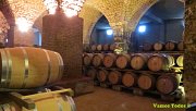 Wine Tour in Keserwan with Vamos Todos Wine Tour in Keserwan with Vamos Todos