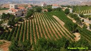 Zahle Hike & Wine Tour with Vamos Todos Zahle Hike & Wine Tour with Vamos Todos