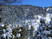 Ehden Snowshoeing with Vamos Todos Ehden Snowshoeing with Vamos Todos