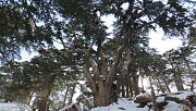 Arz to Bekaa Kafra Snowshoeing with Vamos Todos Arz to Bekaa Kafra Snowshoeing with Vamos Todos