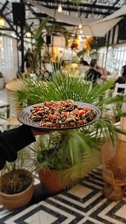 WeekEnd Lunch at GreenHouse Batroun WeekEnd Lunch at GreenHouse Batroun