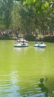 Besten Anjar fun family activities for kids in the open top City sightseeing double decker bus. Besten Anjar fun family activities for kids in the open top City sightseeing double decker bus.
