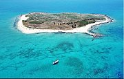 Boat trip & Swimming to the Palm Island with LAT Boat trip & Swimming to the Palm Island with LAT