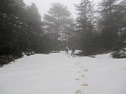 Hiking on the Snow in Shouf Biosphere Reserve with Footprints Nature Club Hiking on the Snow in Shouf Biosphere Reserve with Footprints Nature Club