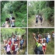 Bkassine Pine Forest - Jezzine with ProMax Bkassine Pine Forest - Jezzine with ProMax