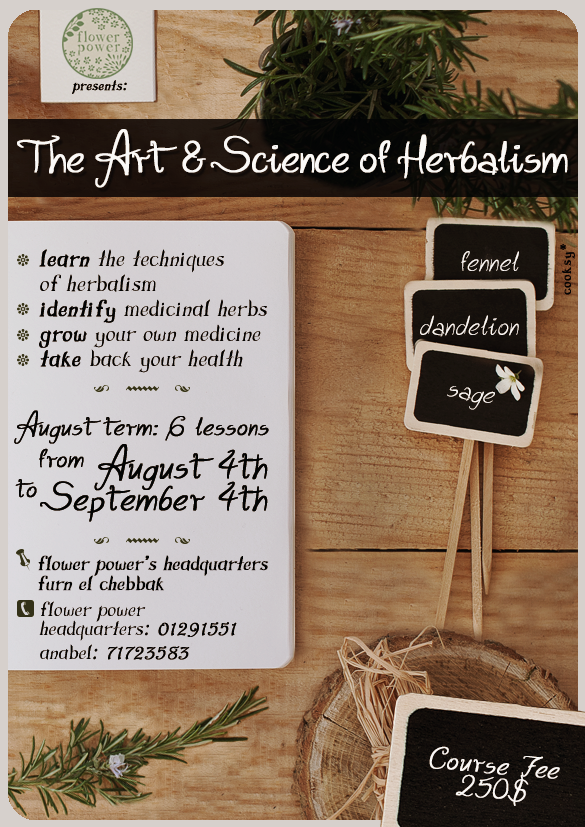 The Art & Science of Herbalism: Beginner Herbalism Course « Lebtivity