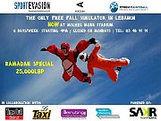 The Free Fall Simulator The Free Fall Simulator
