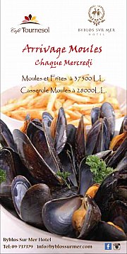 Arrivage Moules au Cafe Tournesol Arrivage Moules au Cafe Tournesol
