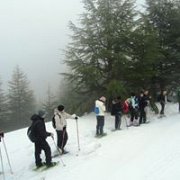 Snowshoeing premiere 2015 - Al Sharbineh with Byblos & Beyond Snowshoeing premiere 2015 - Al Sharbineh with Byblos & Beyond