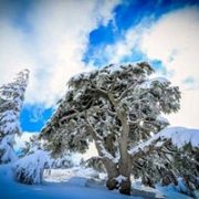 B2h to Barouk Snowshoeing B2h to Barouk Snowshoeing