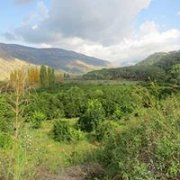Hiking Mazraat El Shouf to Bisri with Bee Happy Hiking Mazraat El Shouf to Bisri with Bee Happy