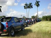Safari Tour Safari Tour