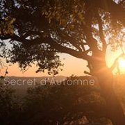 "SECRET D'AUTOMNE" French dinner by Bruno "SECRET D'AUTOMNE" French dinner by Bruno