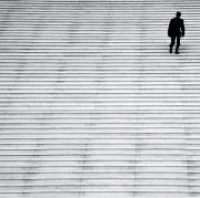 "Lines, within" by Serge Najjar "Lines, within" by Serge Najjar