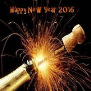 Happy New Year 2016 with Bee Happy Happy New Year 2016 with Bee Happy