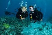 Diving in Lebanon Diving in Lebanon
