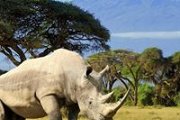 Climbing to the Highest Peak in Africa: Kilimanjaro - Tanzania Climbing to the Highest Peak in Africa: Kilimanjaro - Tanzania