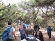 On the Move Camp in Meziara Region with Footprints Nature Club On the Move Camp in Meziara Region with Footprints Nature Club