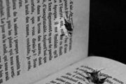 « Pour moi, la guerre c’est ça »: Exposition et Conférence « Pour moi, la guerre c’est ça »: Exposition et Conférence