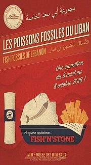 Les Poissons Fossiles du Liban - Exposition au MIM - Musée des Mineraux Les Poissons Fossiles du Liban - Exposition au MIM - Musée des Mineraux