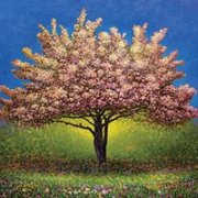 Art in Blossom Art in Blossom