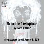 Brindille Turlupinée - Exposition Solo par Sara Haidar Brindille Turlupinée - Exposition Solo par Sara Haidar