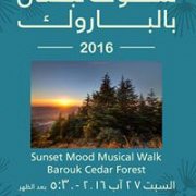 Sunset Musical Walk Sunset Musical Walk