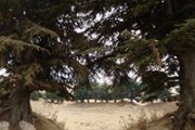 Ain Dara - Hammana, Aley District Hiking with We Are Hikers Ain Dara - Hammana, Aley District Hiking with We Are Hikers