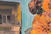 To Keep The Memories Alive, Art Exhibit by Reem Rashash Shaaban To Keep The Memories Alive, Art Exhibit by Reem Rashash Shaaban