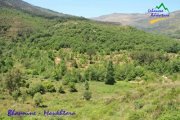 Hiking Bhanine - Moukhtara with Lebanese Adventure Hiking Bhanine - Moukhtara with Lebanese Adventure