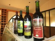 Wine Tour in Batroun with Dale Corazon Wine Tour in Batroun with Dale Corazon