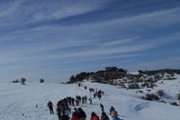 Snowshoeing Tannourine Reserve Snowshoeing Tannourine Reserve
