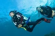 Try Scuba Diving with Stingray Divers Try Scuba Diving with Stingray Divers